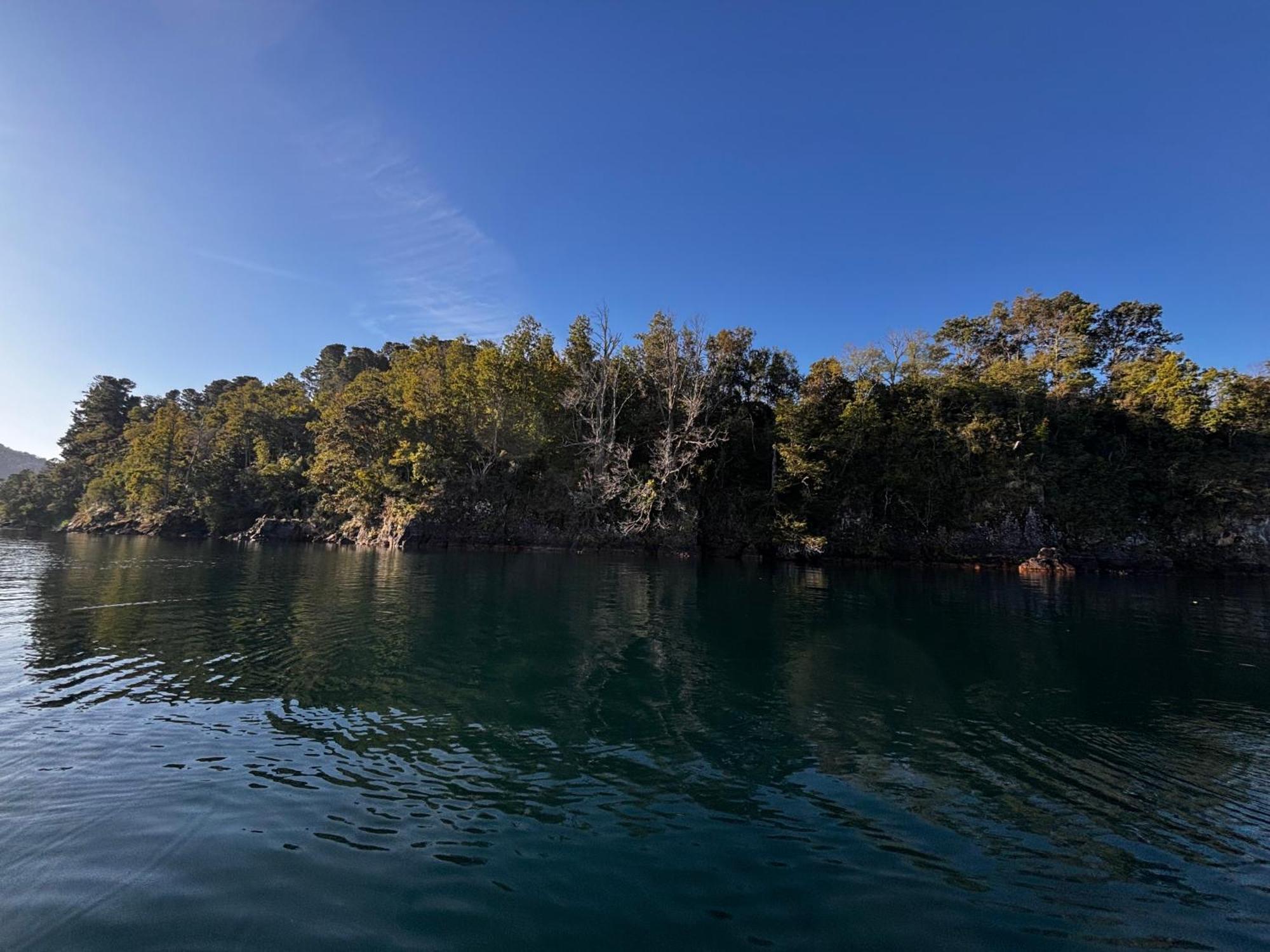 El Roble Alojamento de Turismo Selvagem